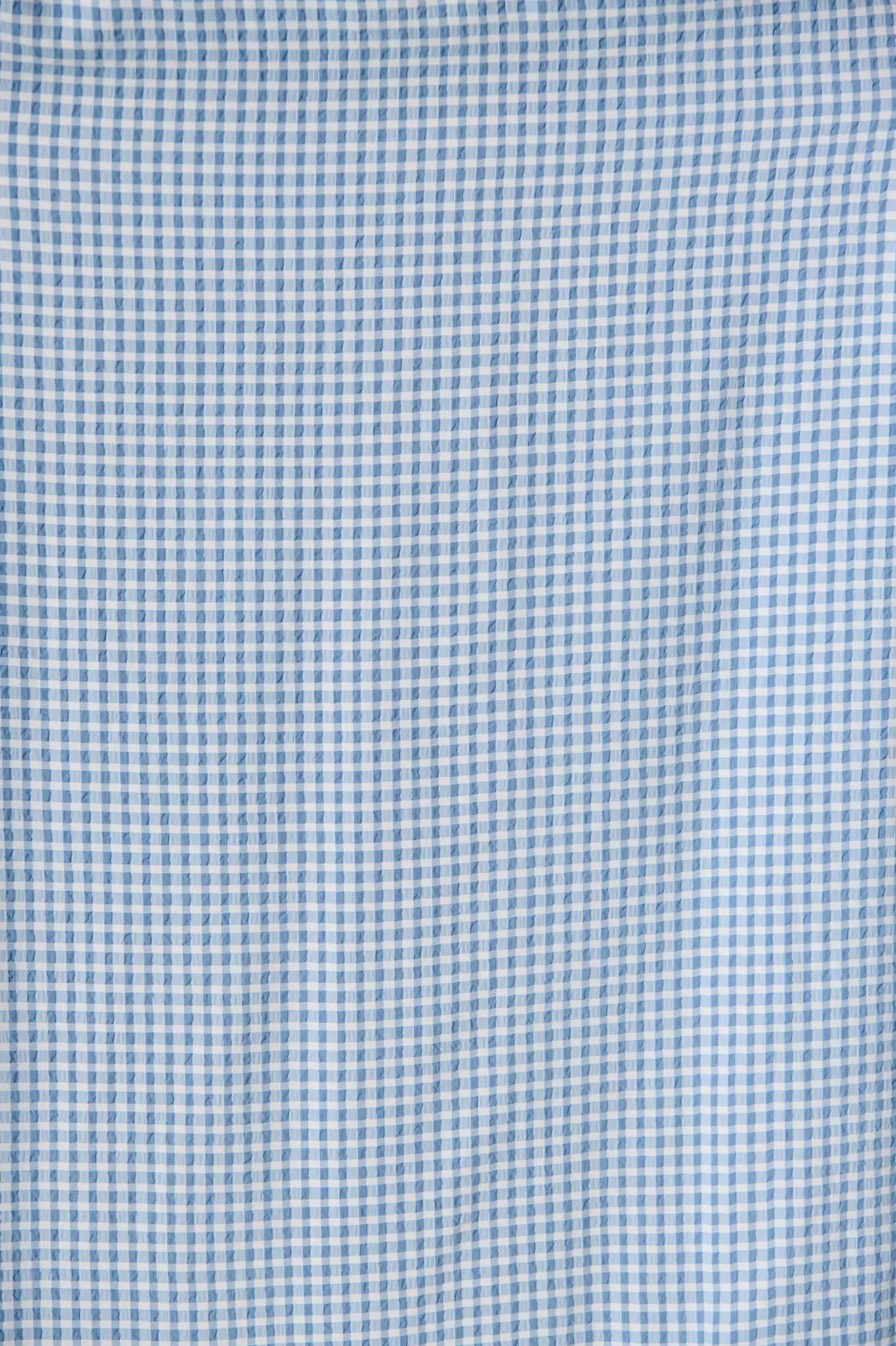 Blue Gingham Maxi Dress