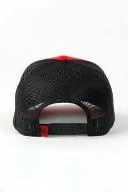 Cinch "Lead This Life" Hat