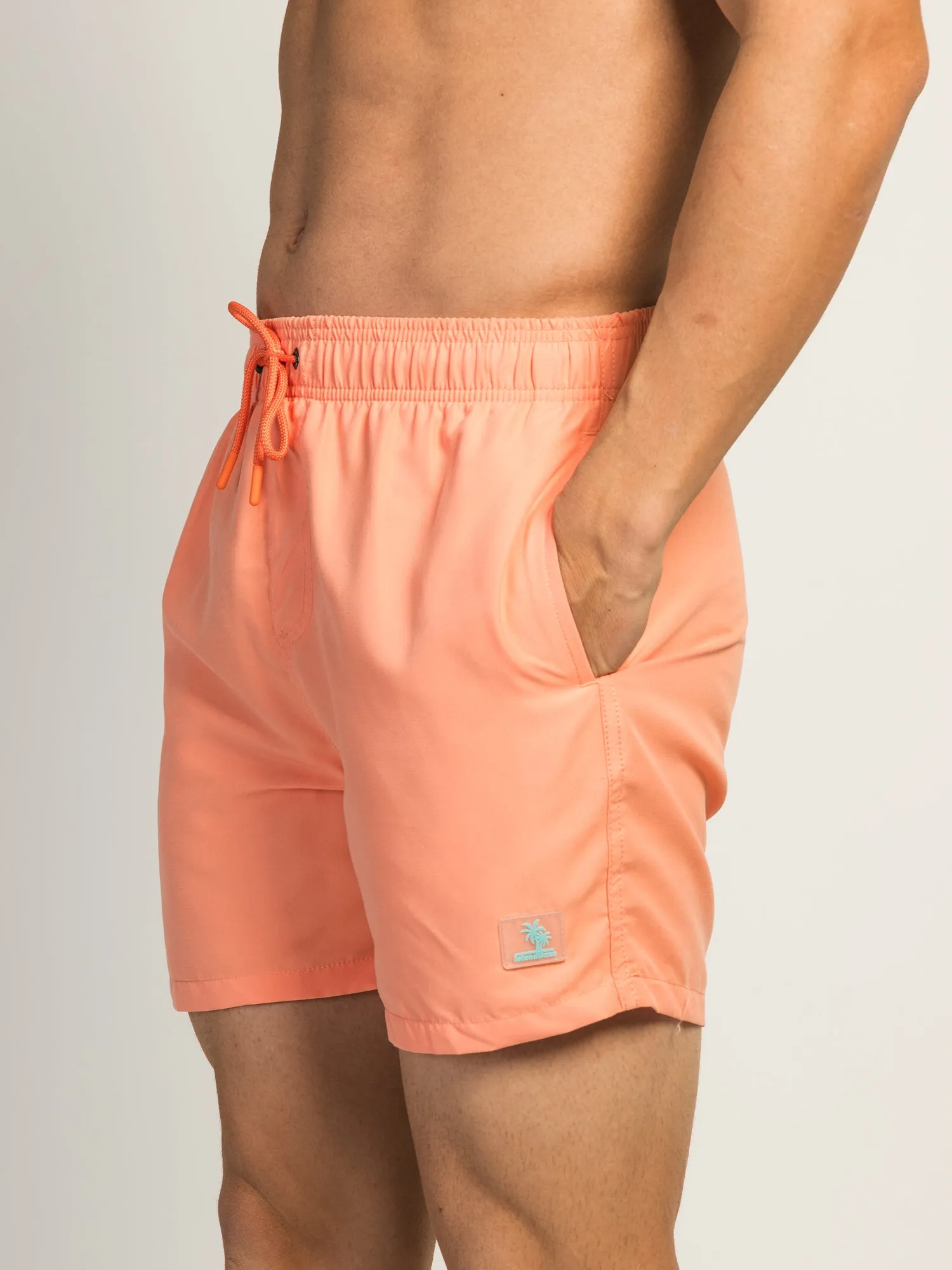 ISLAND HAZE PEACH WAVE 5" VOLLEY SHORT
