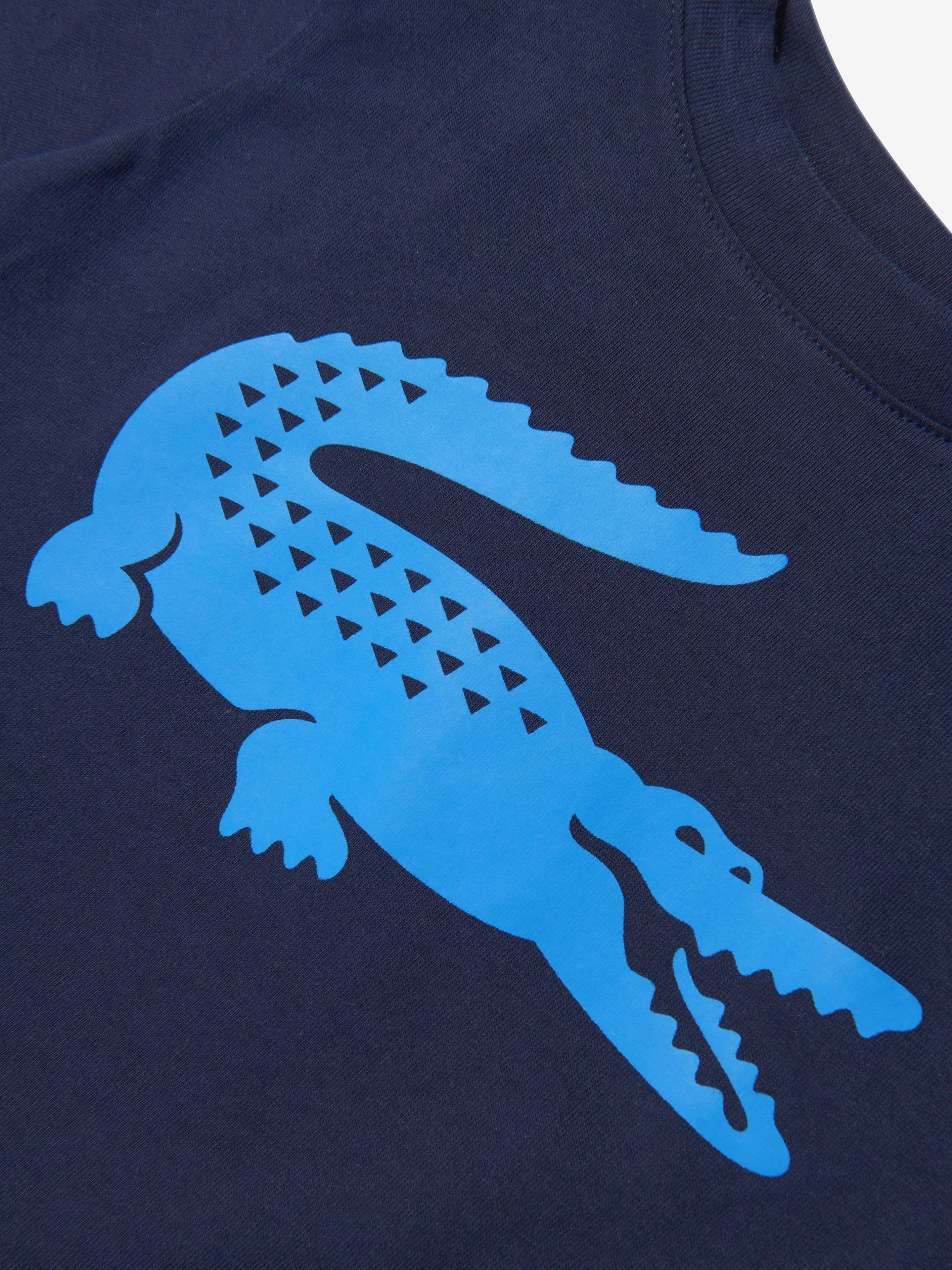 Lacoste Boys Logo T-Shirt in Navy