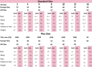 Mother of The Bride Dresses Long Sleeve Lace Formal Gowns V Neck Chiffon Evening Dress
