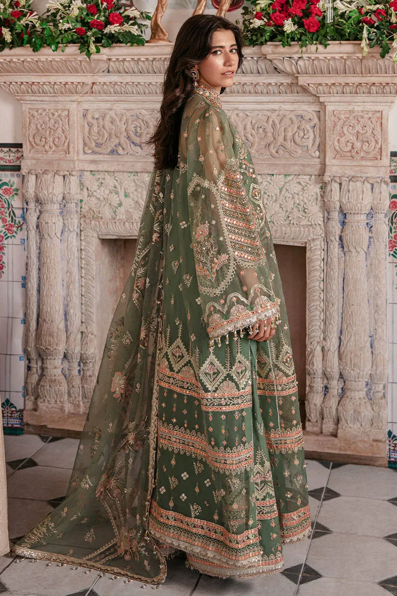 Organza Dress Pakistani in Kameez Trouser Dupatta Style